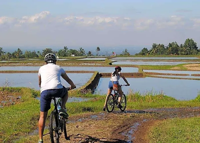 The Bali Bliss